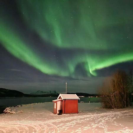 Ulvsvag Gjestgiveri Og Fjordcamping As Buitenkant foto